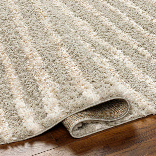 Maryland Shag Majestic Slate Machine Woven Rug