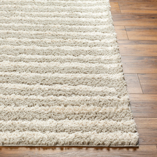 Maryland Shag Majestic Slate Machine Woven Rug