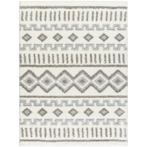 Nomadic Navigator Machine Woven Rug