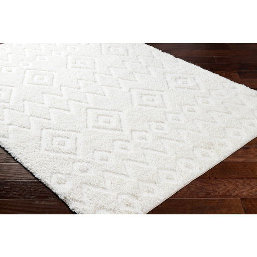 Nomadic Nexus Machine Woven Rug