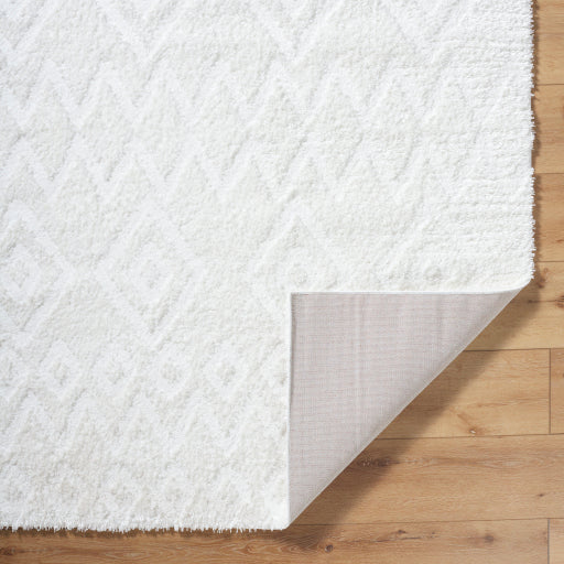 Nomadic Nexus Machine Woven Rug