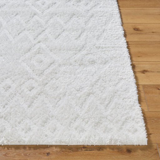 Nomadic Nexus Machine Woven Rug
