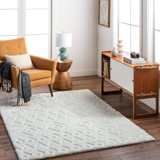 Nomadic Nexus Machine Woven Rug