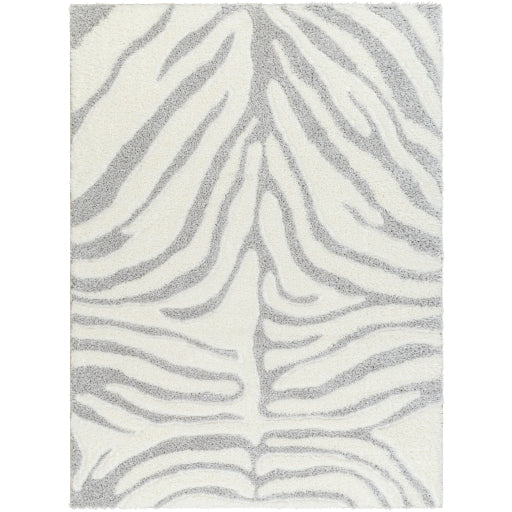 Nomadic Navigations Machine Woven Rug