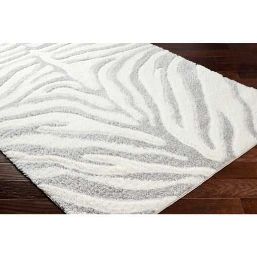 Nomadic Navigations Machine Woven Rug