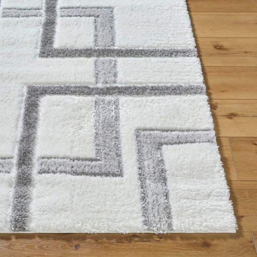 Nomadic Navigator Machine Woven Rug