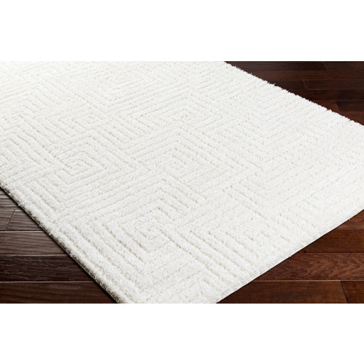 Nomadic Navigator Machine Woven Rug