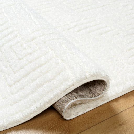 Nomadic Navigator Machine Woven Rug
