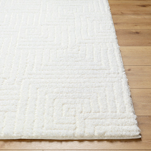 Nomadic Navigator Machine Woven Rug