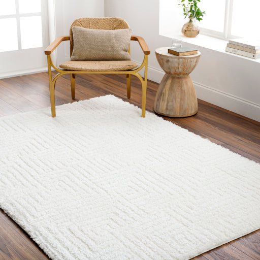Nomadic Navigator Machine Woven Rug