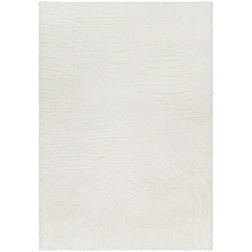 Nomadic Navigations Machine Woven Rug