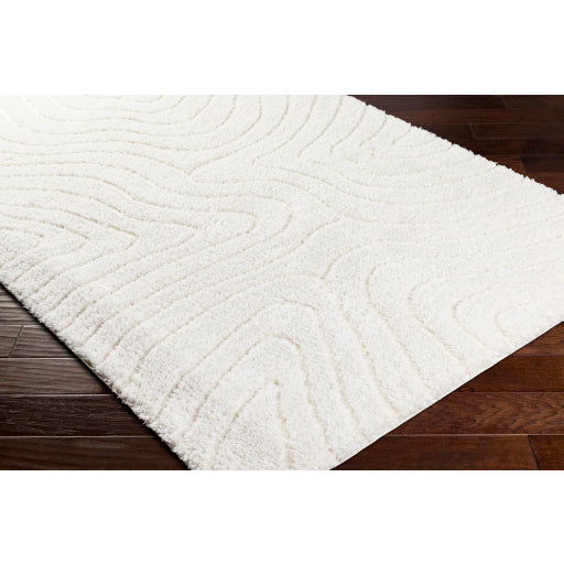 Nomadic Navigations Machine Woven Rug