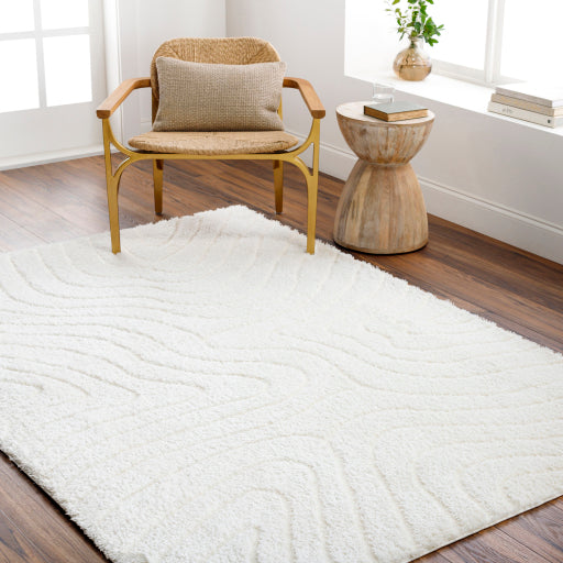 Nomadic Navigations Machine Woven Rug