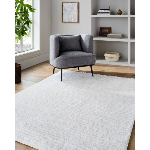 Nomadic Navigations Machine Woven Rug