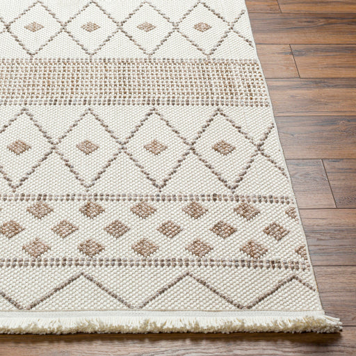 New Delhi Nomadic Weave Handcrafted Rug