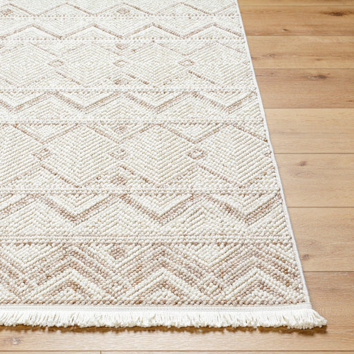 New Delhi Durable Decorative Rug