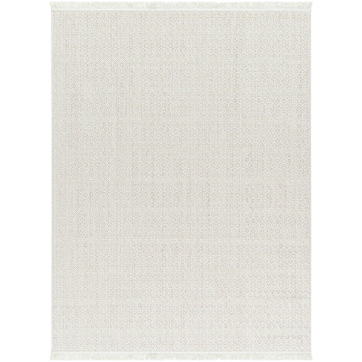 New Delhi Decorative Woven Rug