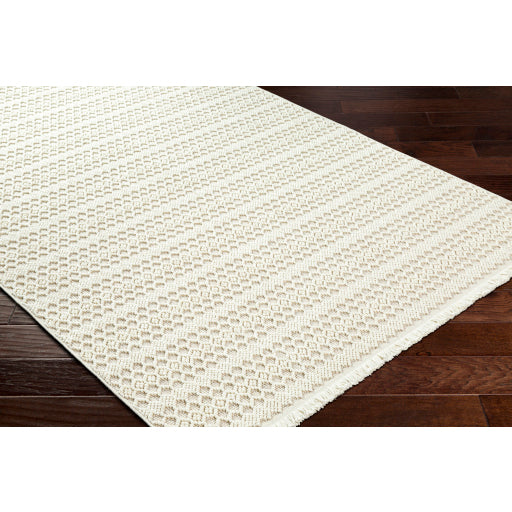 New Delhi Decorative Woven Rug