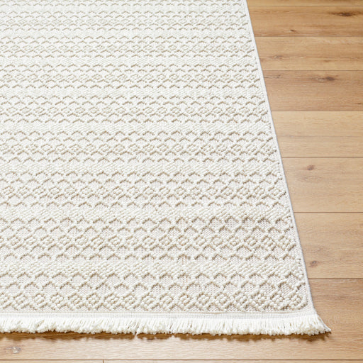 New Delhi Decorative Woven Rug