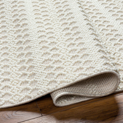 New Delhi Decorative Woven Rug