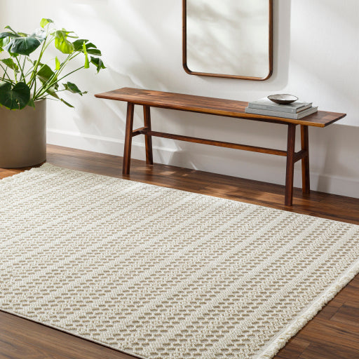 New Delhi Decorative Woven Rug