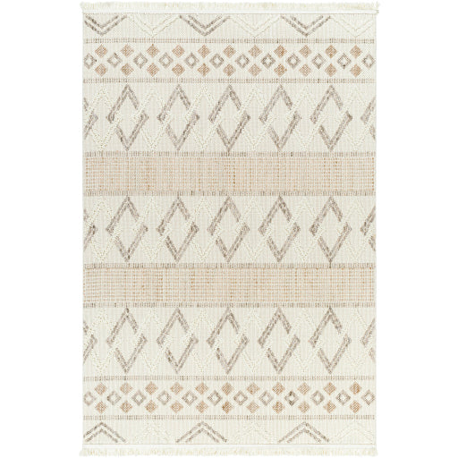 New Delhi Decorative Machine Woven Rug