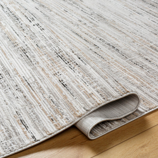 Obsession Opulence Oriental Machine Woven Rug