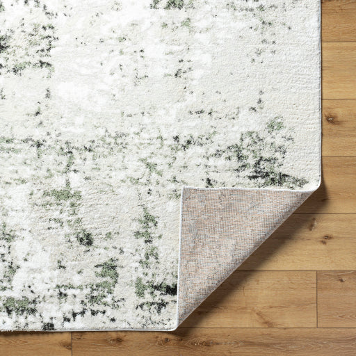 Osaka Opulent Oriental Machine Woven Rug
