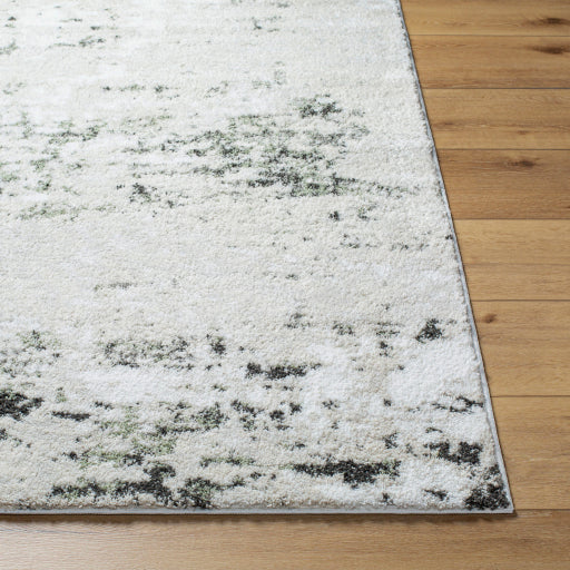 Osaka Opulent Oriental Machine Woven Rug
