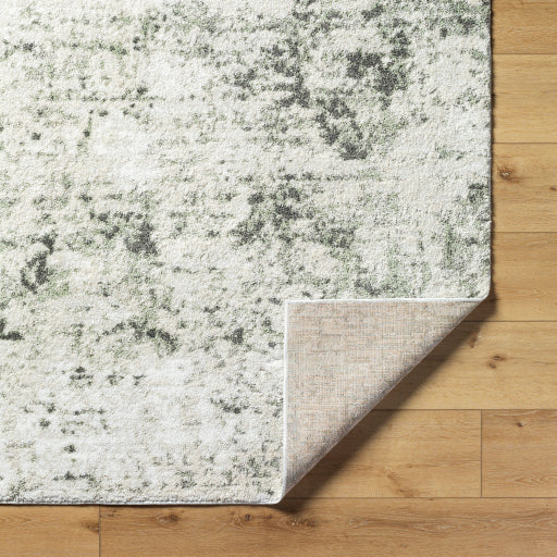 Osaka Ombre Oriental Machine Woven Rug