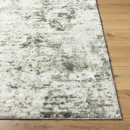 Osaka Ombre Oriental Machine Woven Rug