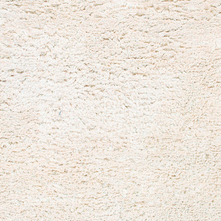 Asra Rug - 5' x 8'