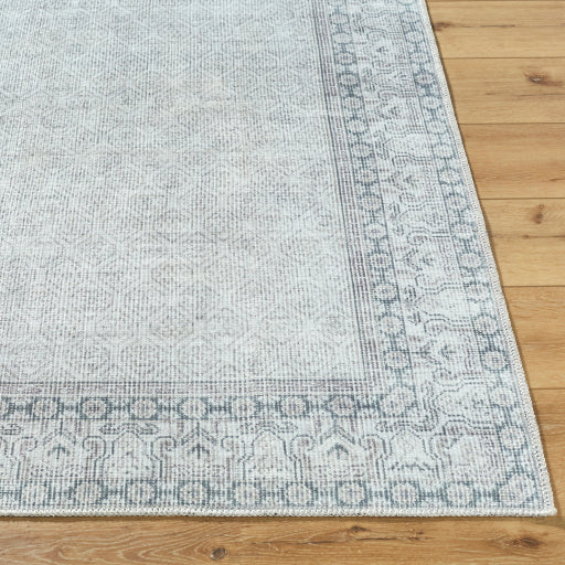 Rainier Pacific Northwest Retreat Machine Woven Rug