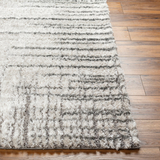 Primo Patterned Plush Rug