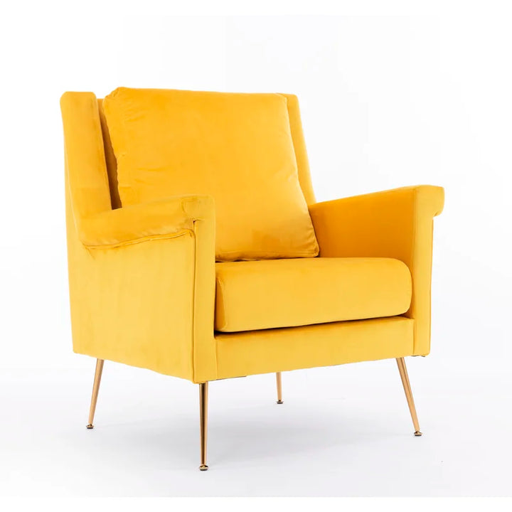 Demi 30'' Wide Velvet Armchair