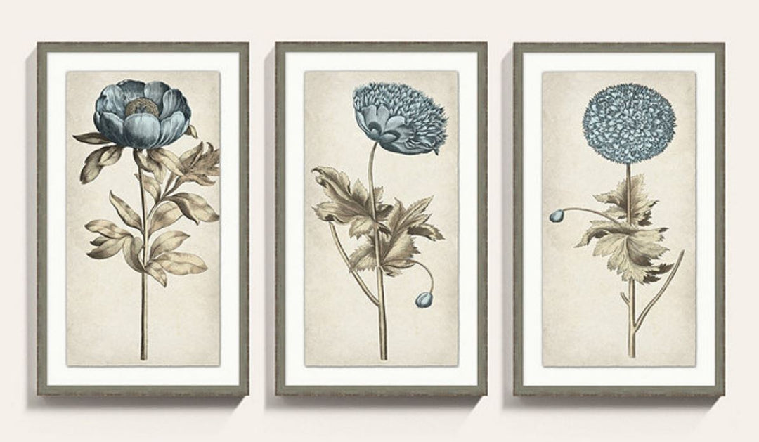 SCENTS OF BLUE ART PRINT 3 WITH FRAME