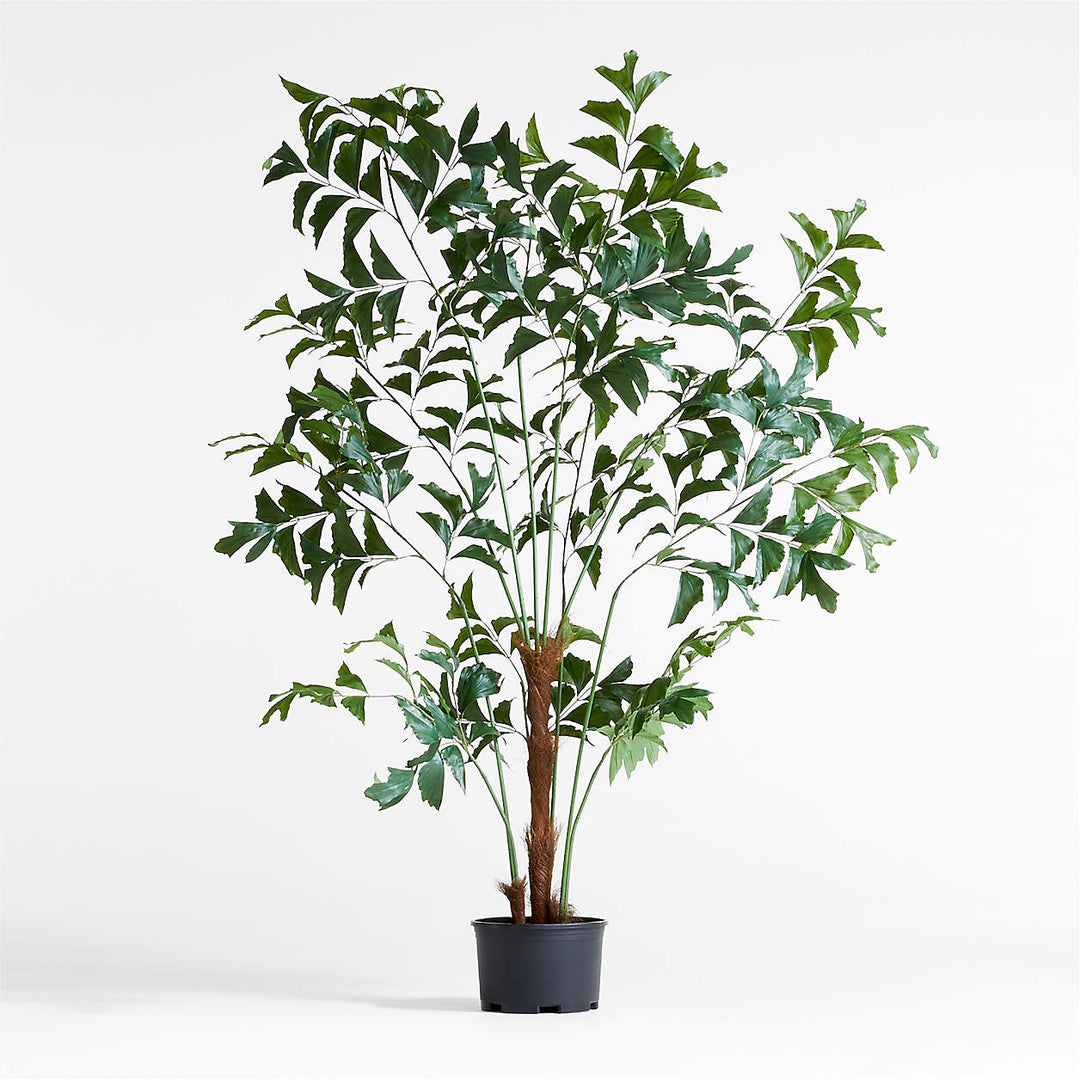 Potted Faux Fishtail Palm Tree