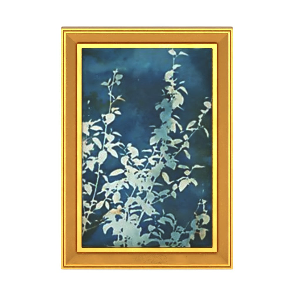 Evening Blooms Wall Art With Frame