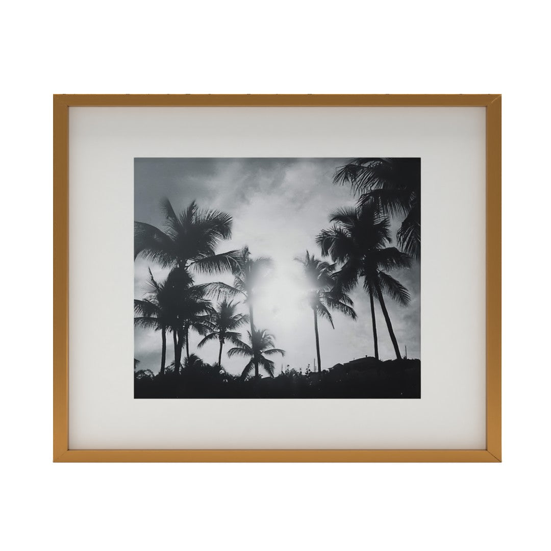 Gallery Brass Frame With White Mat 16"X20"