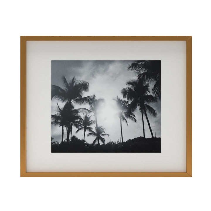 Gallery Brass Frame With White Mat 16"X20"