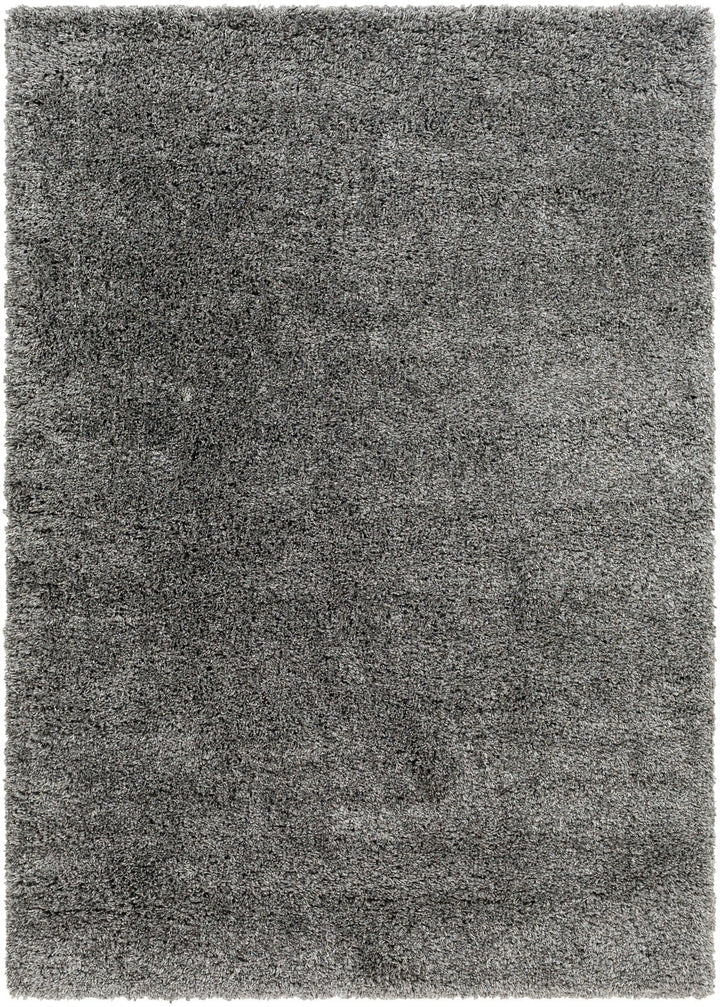Aminur Performance Dark Gray Rug