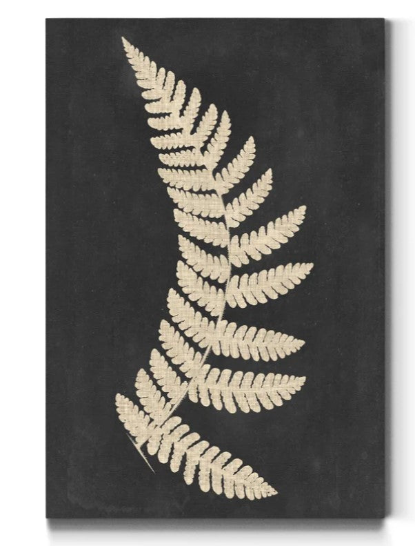Linen Fern IV Wrapped Canvas Print 16"x20"