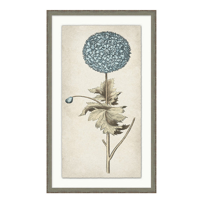 SCENTS OF BLUE ART PRINT 3 WITH FRAME