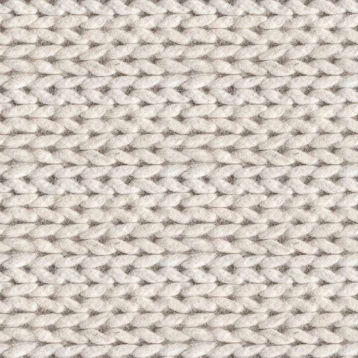 Dunanney Ivory Braided Area Rug-8'x10'