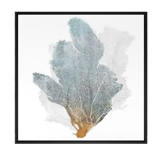 Delicate Coral II by Isabelle Painting on Canvas With Frame-32''x32''