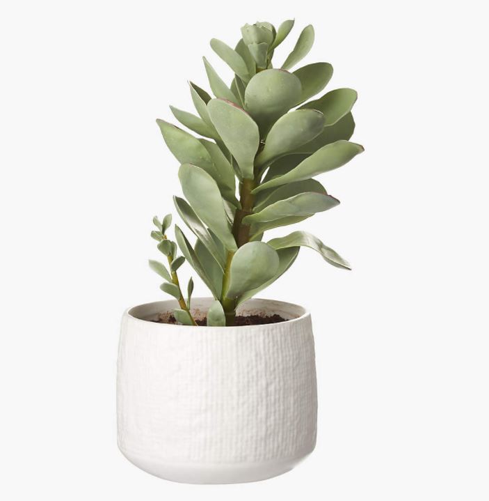 Potted Faux Succulent White Pot 14"
