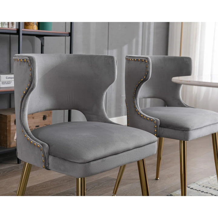 Khanya Velvet Upholstered Oak Side Chair Set of 2