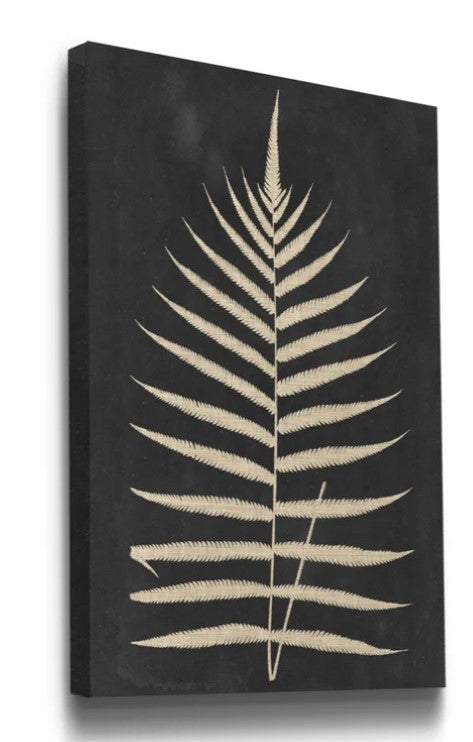 Linen Fern III Wrapped Canvas Print No Frame 16"x20"