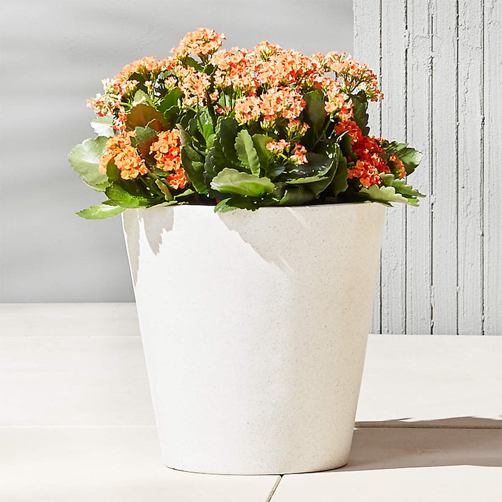 SHORE WHITE STONE INDOOR/OUTDOOR PLANTER MEDIUM
