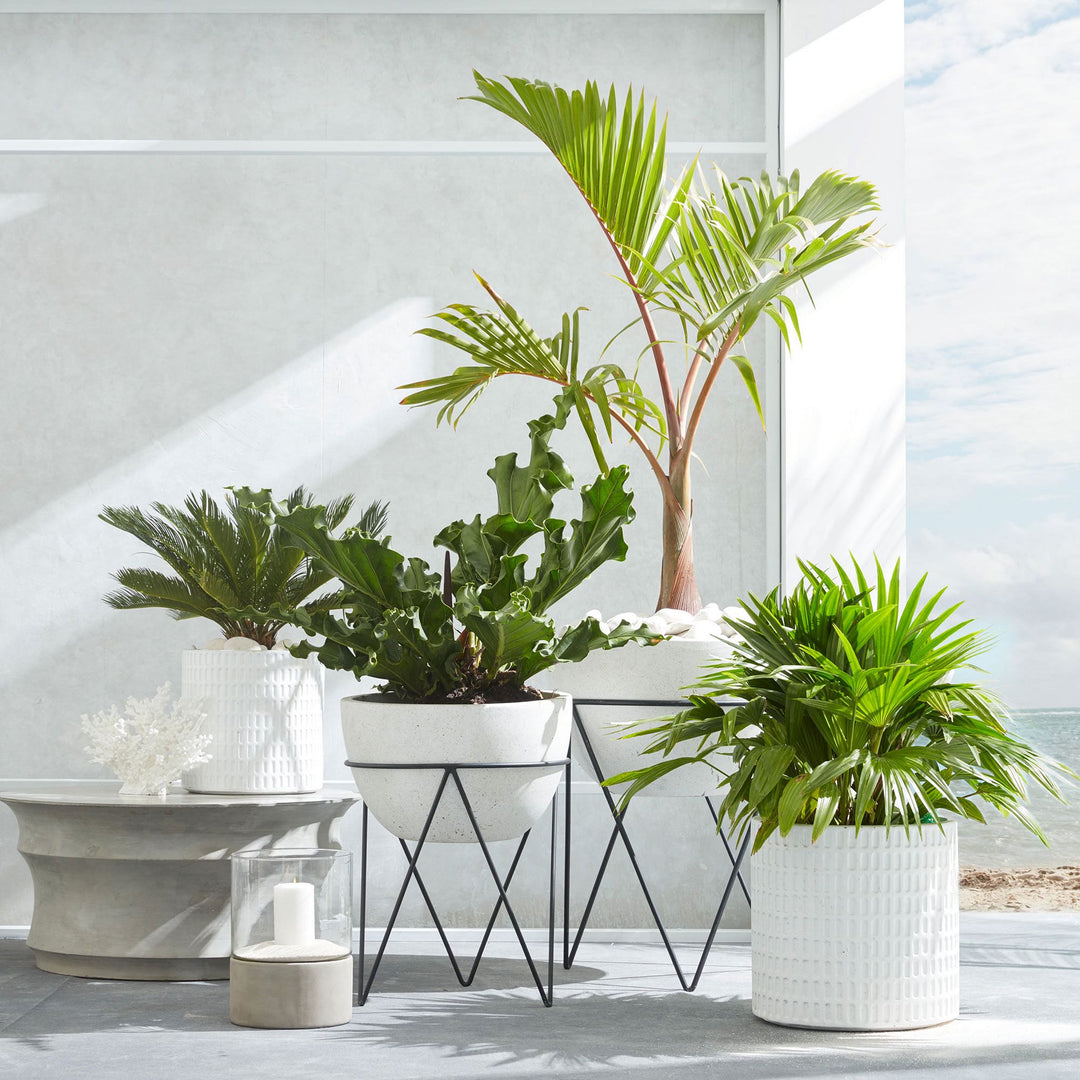 Iris Indoor Outdoor Planters